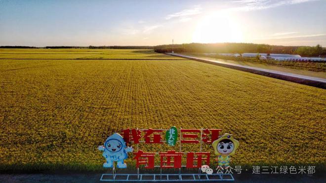 荒高端定制 品味升华之选PG电子游戏麻将胡了北大(图4)